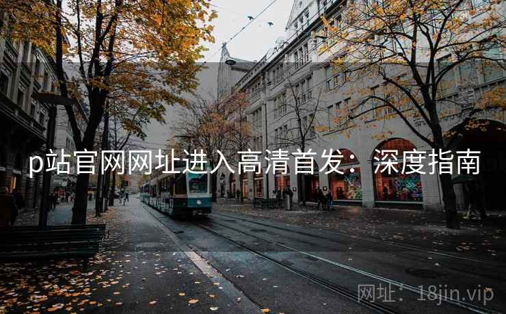 p站官网网址进入高清首发：深度指南
